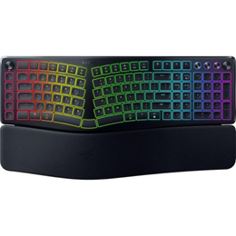 Razer PRO TYPE ERGO